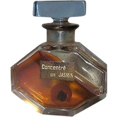 Concentré de Jasmin